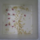 선택농장 이미지