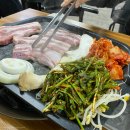 소나무뜰
