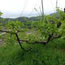 조아농장 이미지