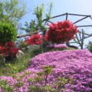 옛집황토방 이미지