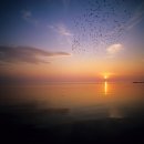 섬마을바다 이미지