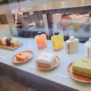 랑데자뷰건대 이미지