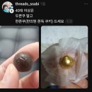 세곡-112 | 두바이쫀득쿠키 세곡동 두쫀쿠 추천_오잉 카페, 브라운돈까스 세곡점 후기, gs편의점 두쫀쿠 솔직후기