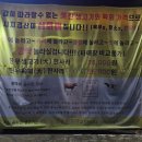 육회한생고기 네이버블로그