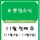 운정3지구 a31블럭 행복주택 앞 사거리(2) | 분양정보 (11월 첫째 주)