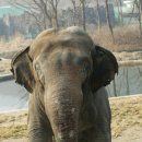 칸토 카카오 검색결과