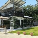cafe 255 (카페 이오오)