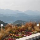 안마당더랩