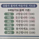 음력 2월 초하루 아침이 주는 선물 ㅡ 현행동효의 사유의 방 이미지