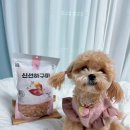 펫어스 | 펫어스 신선하구마