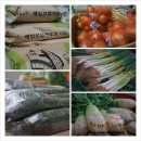 시온상회 이미지