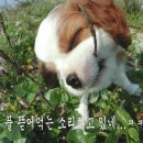 369 이미지