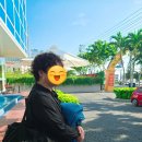 마돈나레스카페 | [나트랑 여행] 마린 스노클링 투어 두번 다녀온 후기