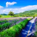 벽송농장 이미지