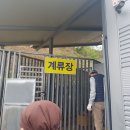 시골흑염소 이미지