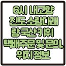 소랑다래랑 | 6시 내고향 진도 소랑다래랑 키위 국산 골드, 그린키위 택배주문 및 문의, 위치 정보