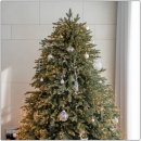 골드독트리멍 | 20평대 신혼집 인테리어 벤느 트리 설치 후기