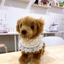 뚜뚜애견 이미지