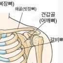 루트필라테스 - 용인시 처인구 중부대로 1116 | 루트필라테스