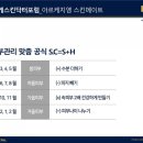 피부연가