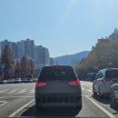 강남운전면허시험장 이미지