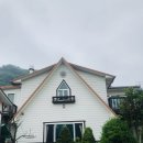 비올레띠 이미지