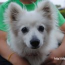 일출언덕신산게스트하우스 이미지