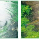 아이패밀리 영통점 이미지