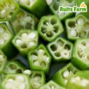 오크라-Okra 이미지