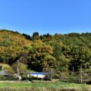 회령포성 이미지