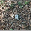 불목농장 이미지