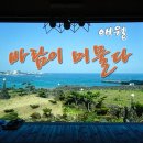 게스트, 머물다