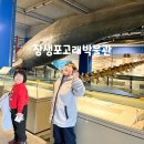 진양자원 | 장생포 고래 박물관 울산해피관광카드 알차게 다녀온 후기