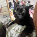 싹쓰리 아이스크림할인점 이미지