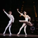 유니버설발레단 돈키호테 이미지