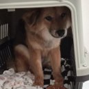 린린초밥 | [일상 모아보기] 마음고생으로 3살은 늙은, 3월