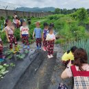 은진농장 이미지