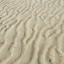 그리심농장 이미지