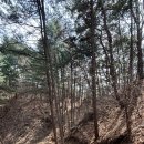 원주굽이길 16코스 매지순환둘레길 이미지