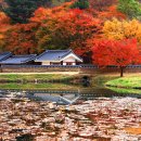 불영사 - 1729 | 불영사