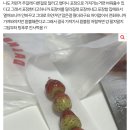 딸기탕후루 배달 시켰는데 어떻게 생각하세요? 이미지