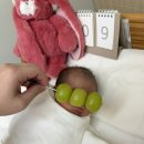 분당-2 | 성남 분당 엄마손산후조리원 2주 후기