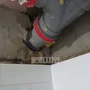 그린시티동문 | 파주 동문그린시티 천정누수와 타일보수 현장후기