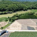 홍천강변_3 이미지