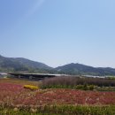 남정농장 이미지