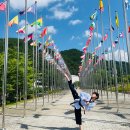 유신 태권도장 이미지