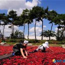 햇살 좋은날 이미지