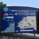 GS25 부안변산점 | [전라도 부안 가볼만한 곳] 변산 마실길 2코스 샤스타데이지 일몰 인생샷 맛집 위치 개화율