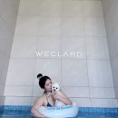 위클라드 펜션 이미지