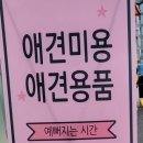 포비 펫 살롱 이미지